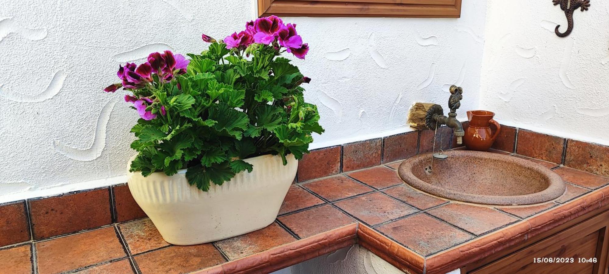 La Casa De Conchita Villa Costa Adeje  Eksteriør bilde